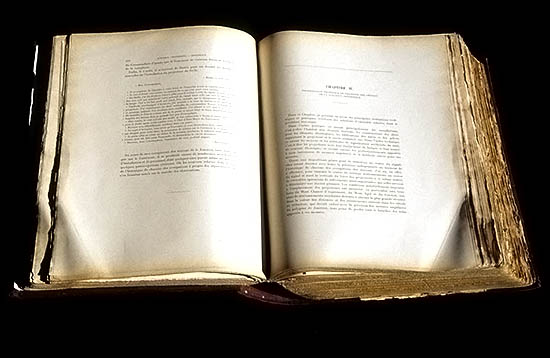 Livre tag ovalp.com