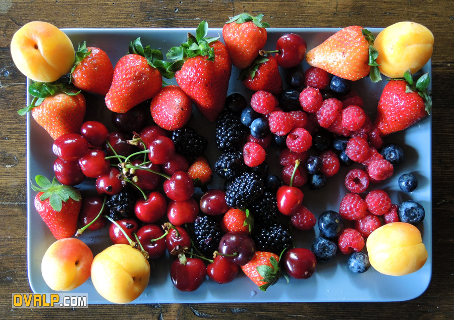 Fruit Rouge 1