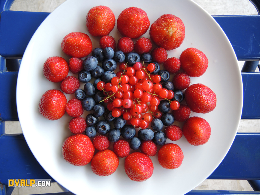 Fruit Rouge 5
