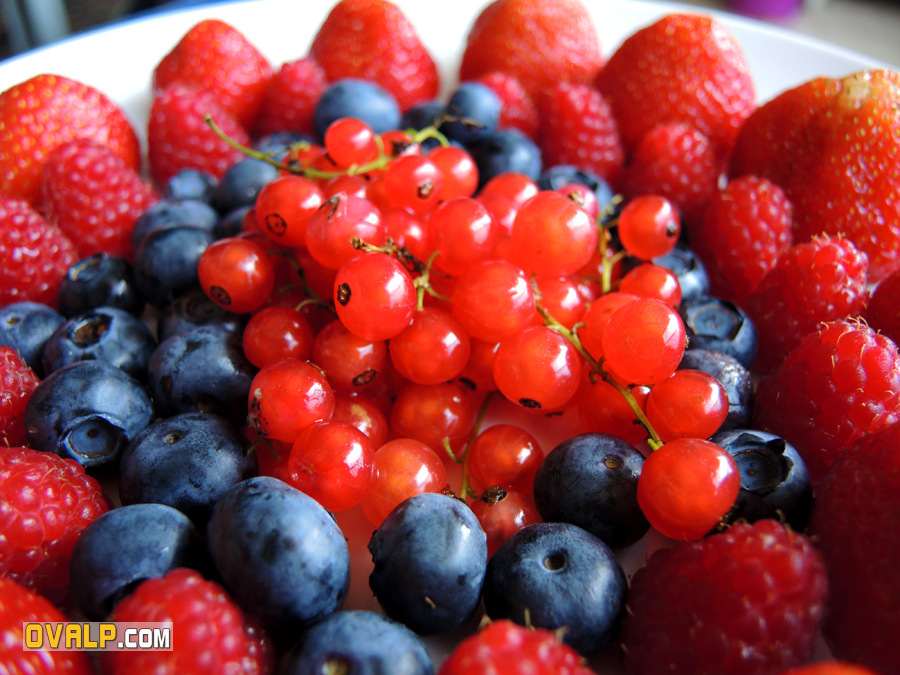 Fruit Rouge 7