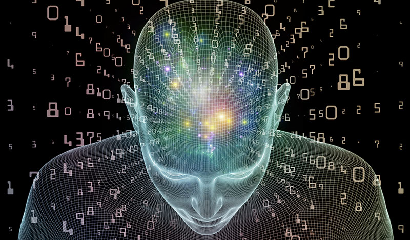 cerveau digital