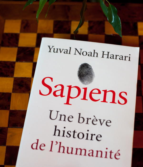 Couverture livre "Sapiens" 