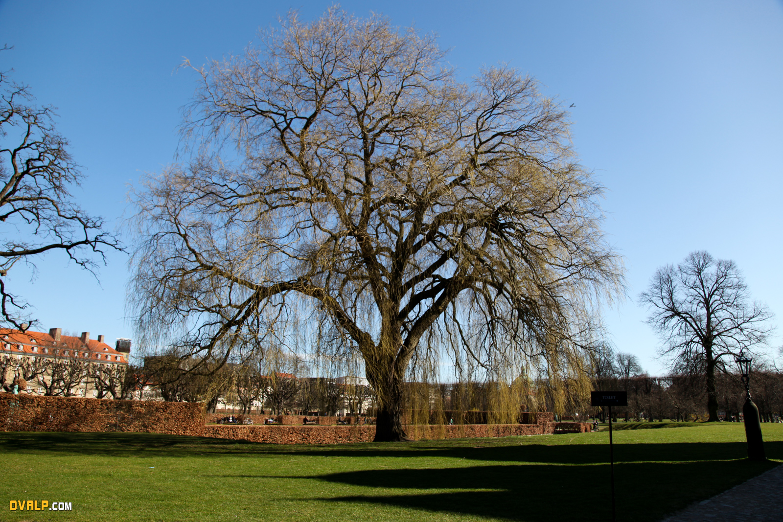 Copenhague Parc