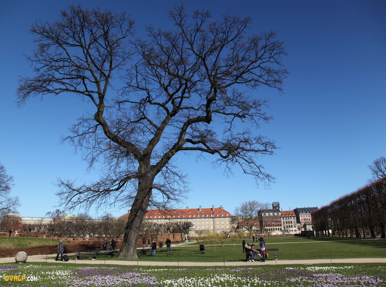 Copenhague Parc
