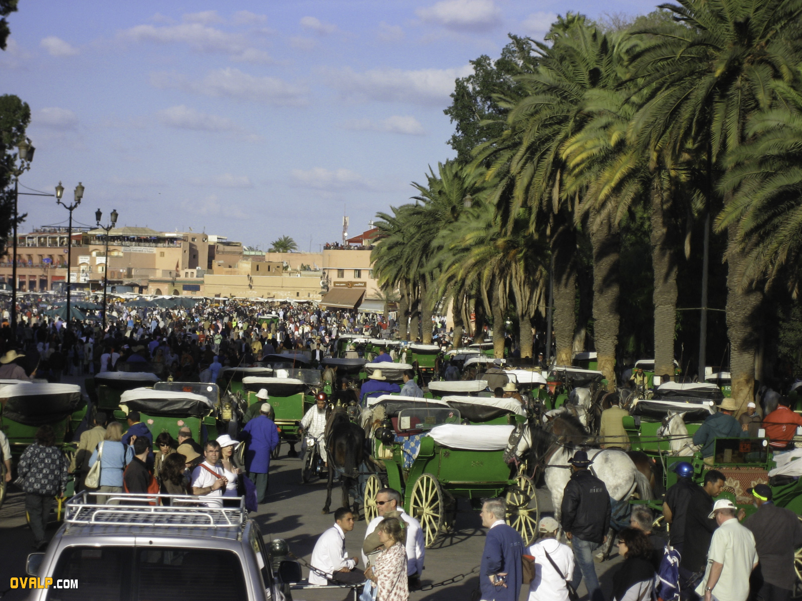 Marrakech 16