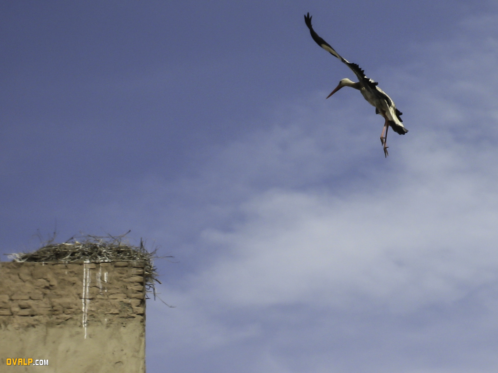 Marrakech 25