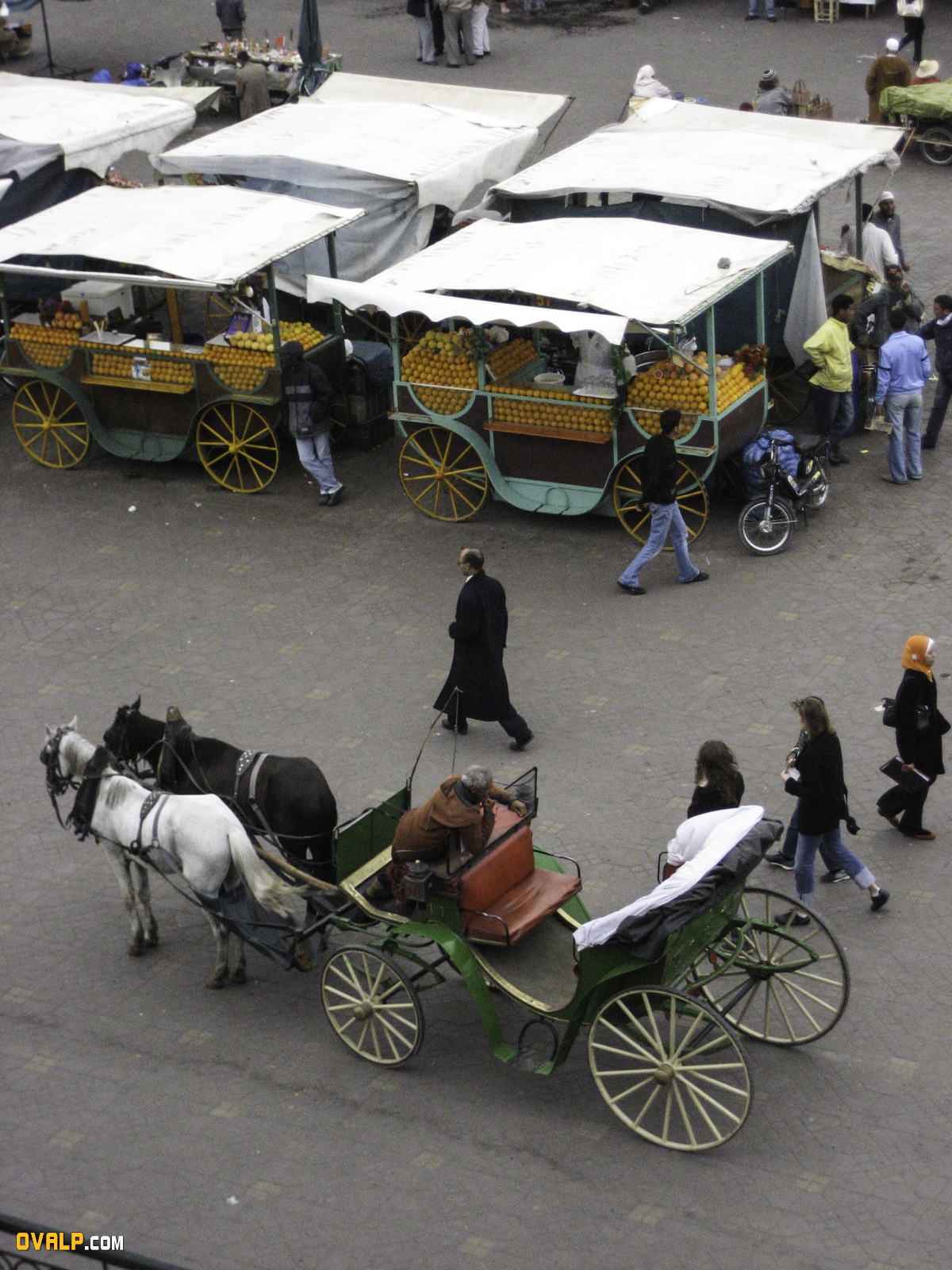 Marrakech 6