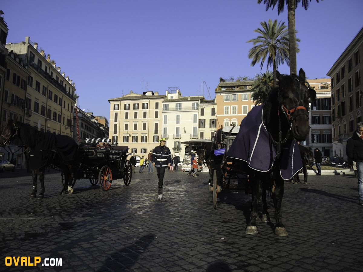 Rome Spagna