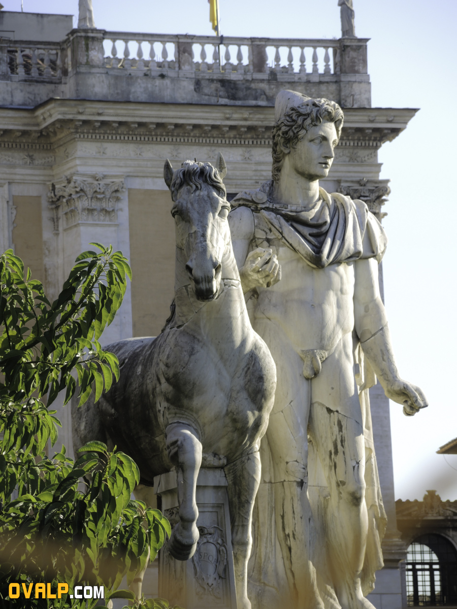 Rome Rennaissance statut
