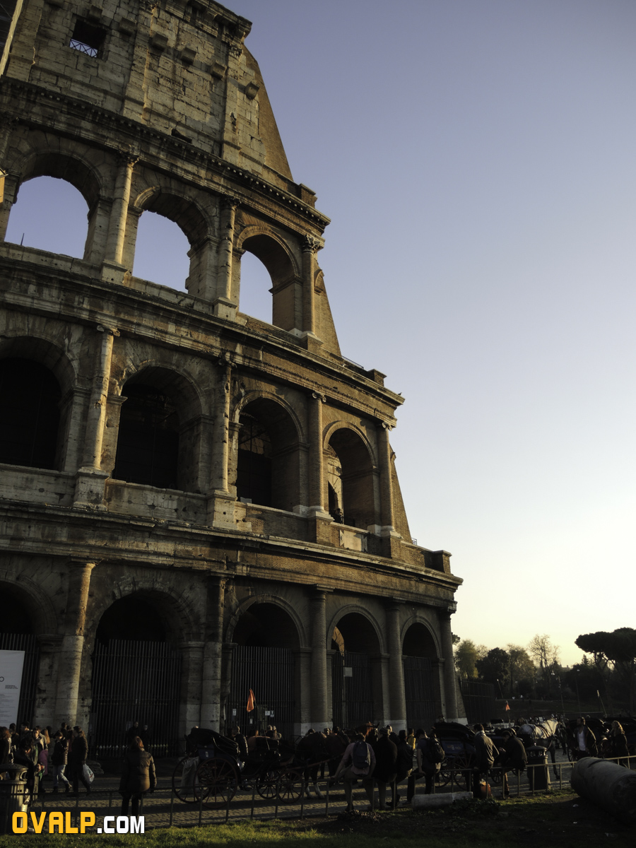Colisée / Coliseum