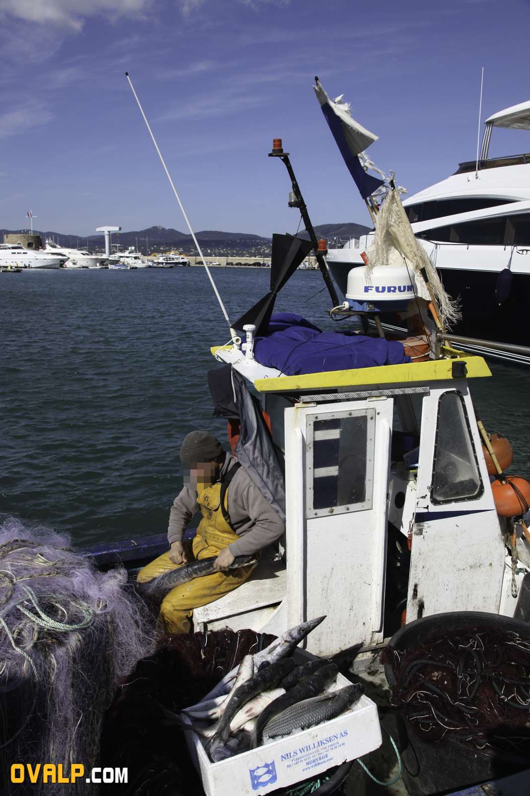 Saint Tropez 20