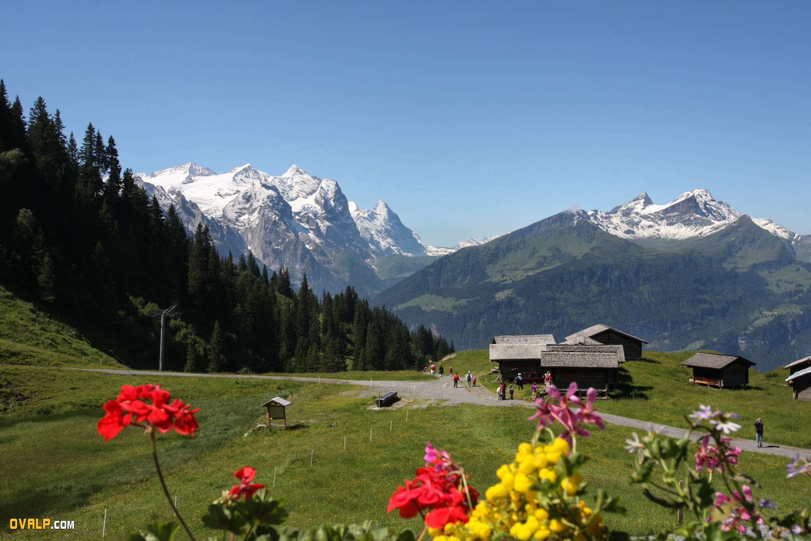 Illustration Suisse