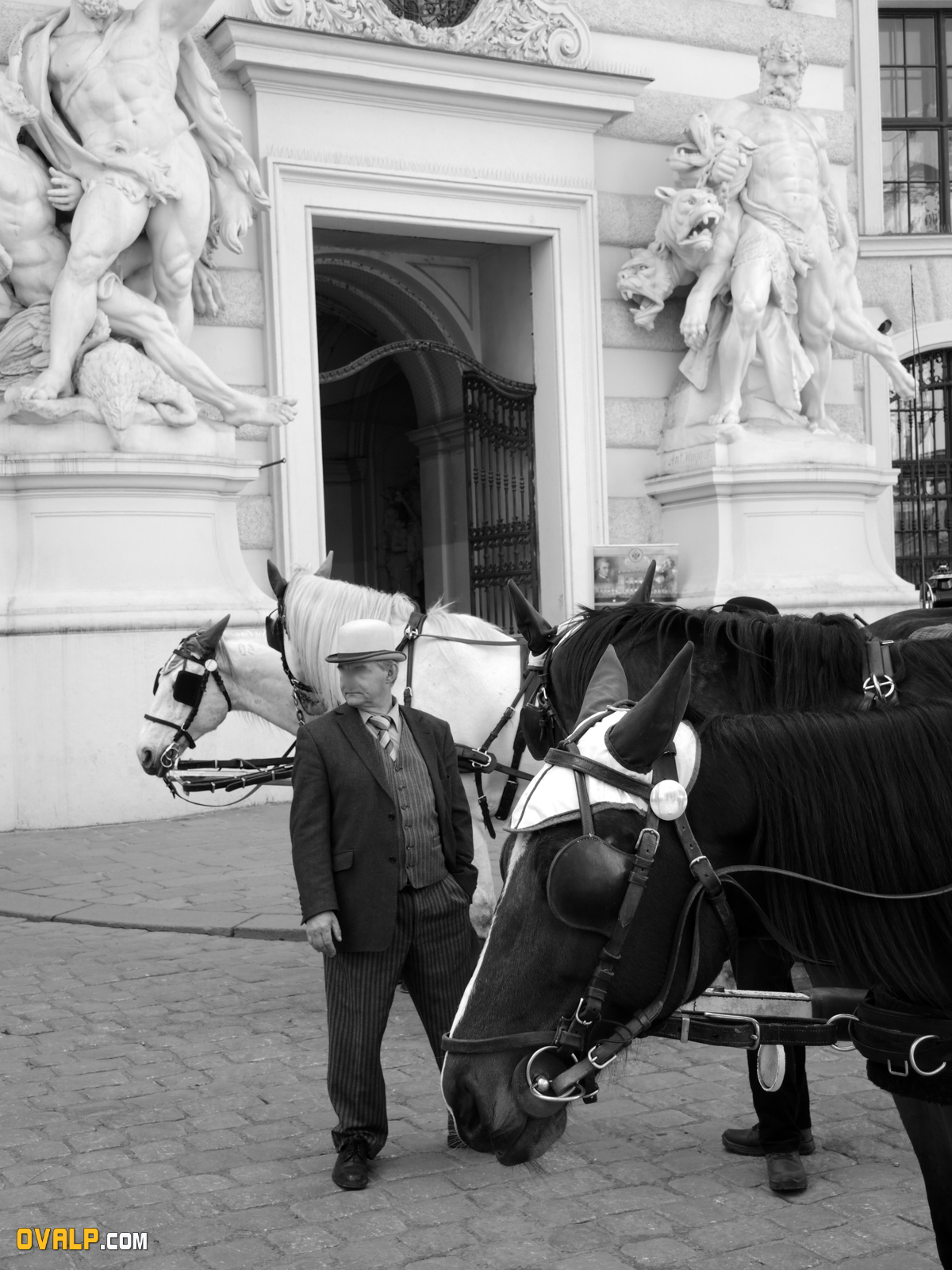 Vienne 16