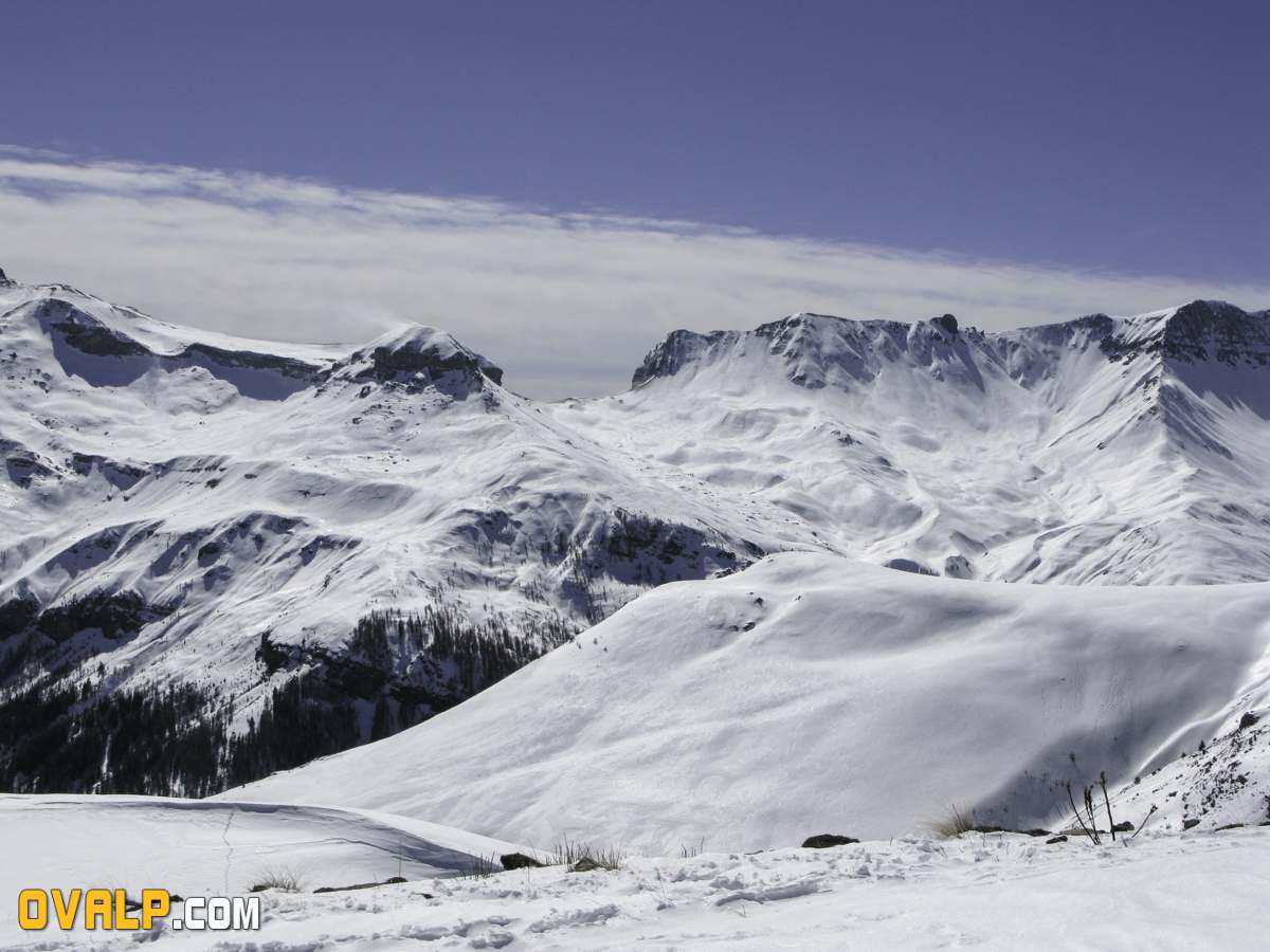 Auron 3