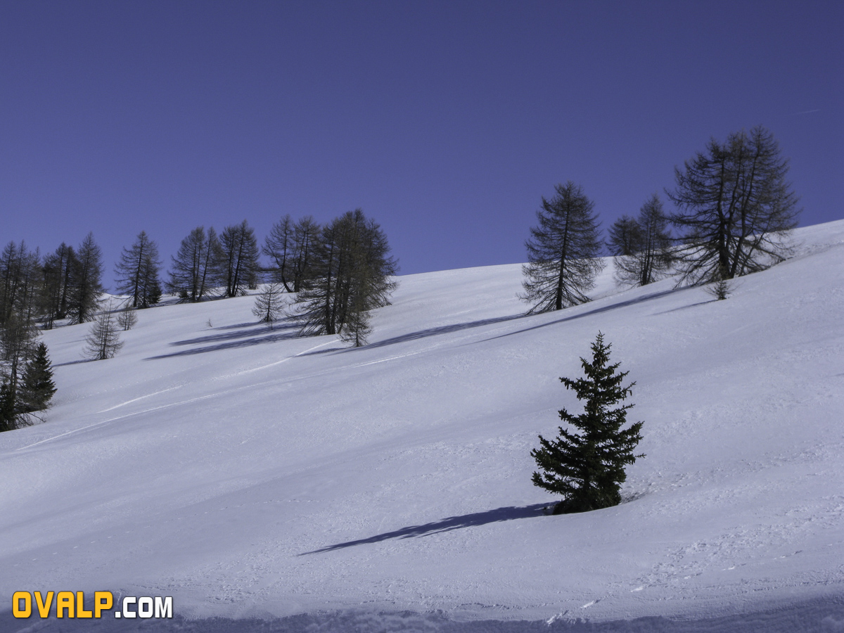 Auron 4