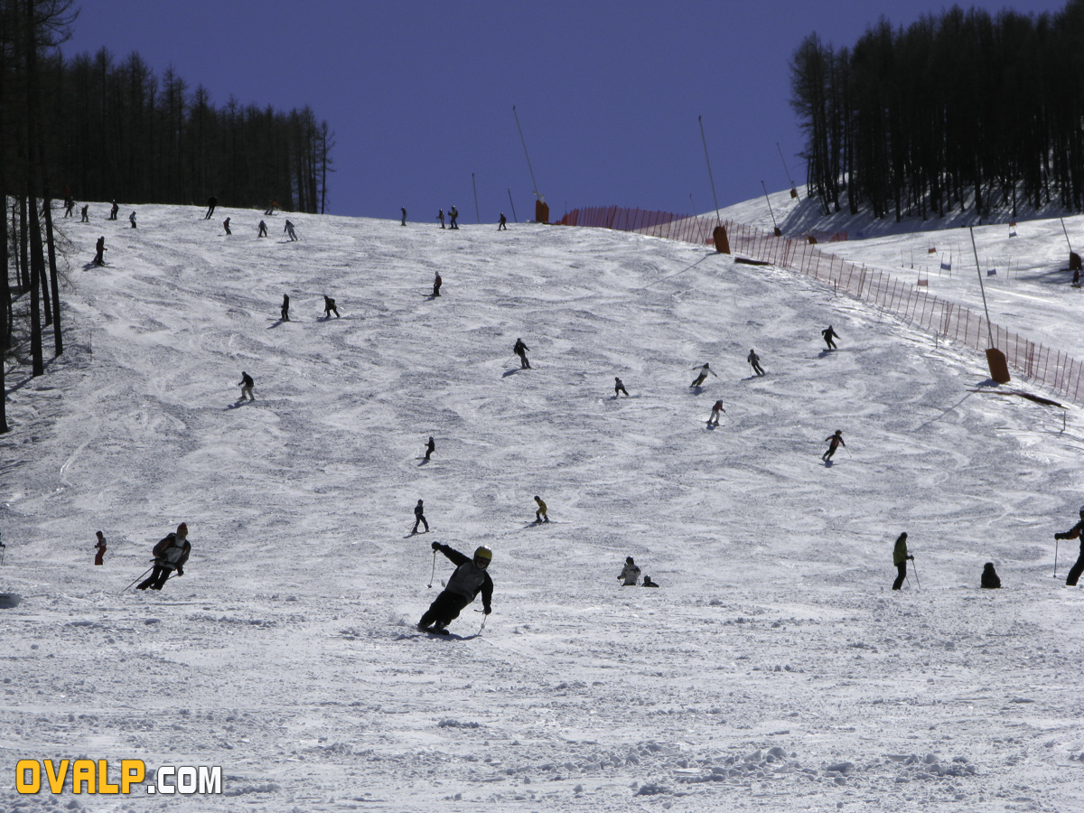 Auron 5
