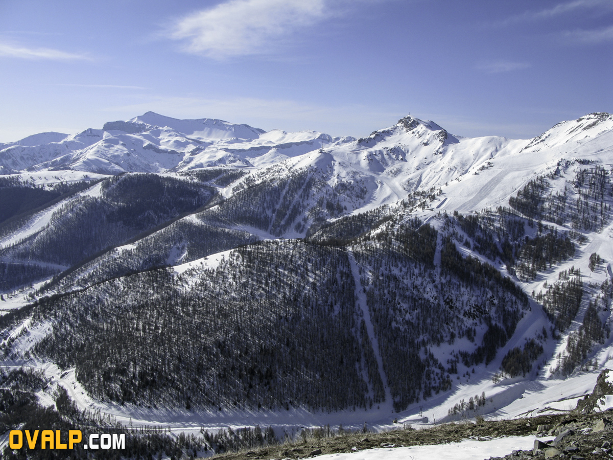 Auron 8