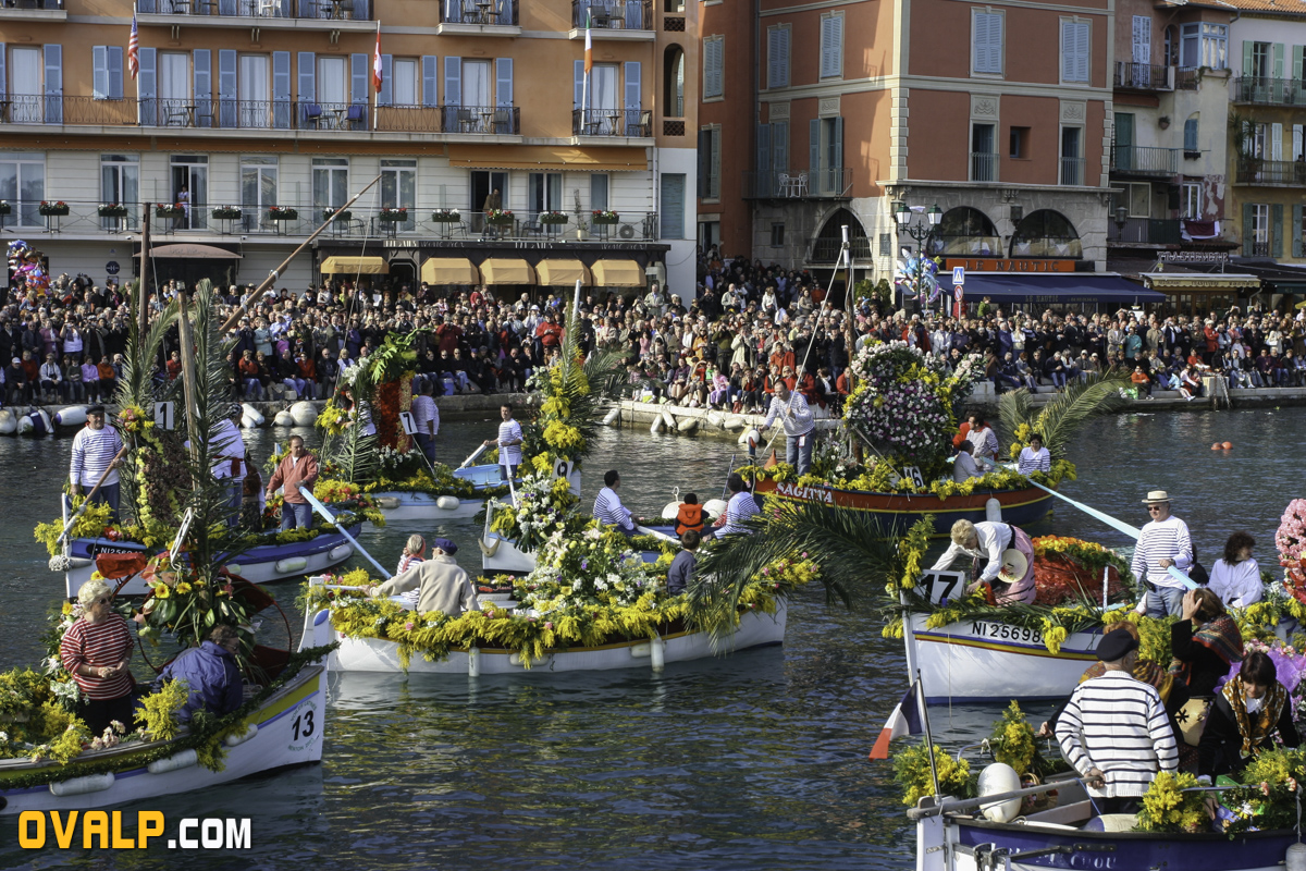 Bataille Fleurs Villefranche 3