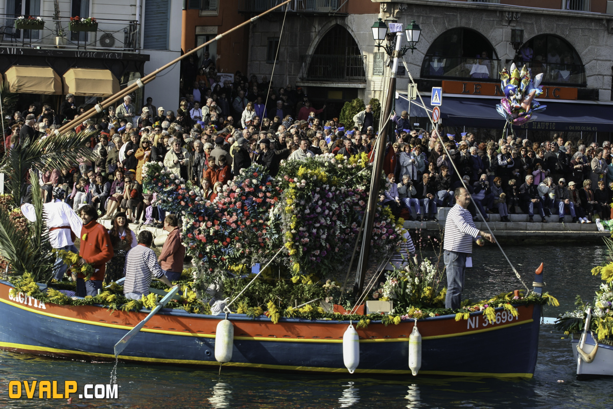 Bataille Fleurs Villefranche 4
