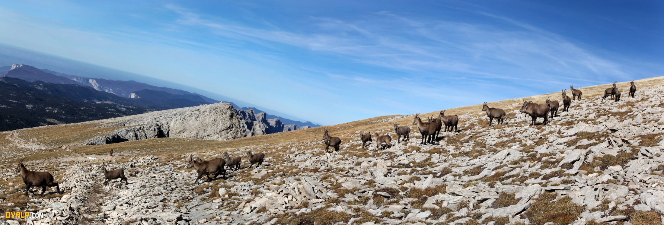 Panorama Grand Veymont Vercors 4