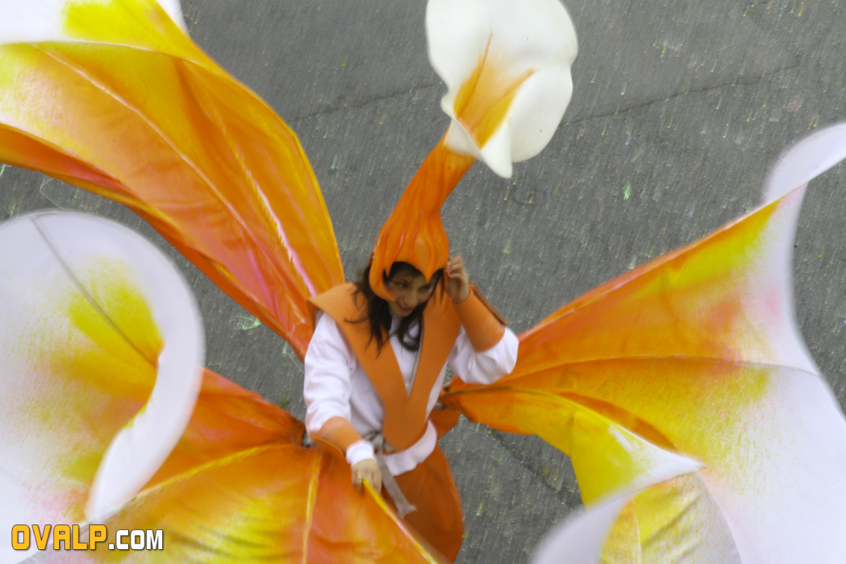 Carnaval Nice Defile 3