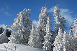 Ski Puy Saint Vincent
