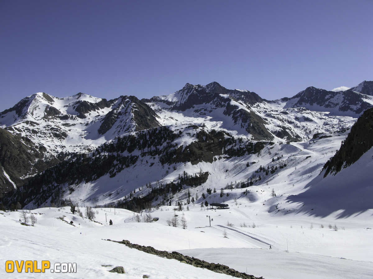 Isola 2000 10