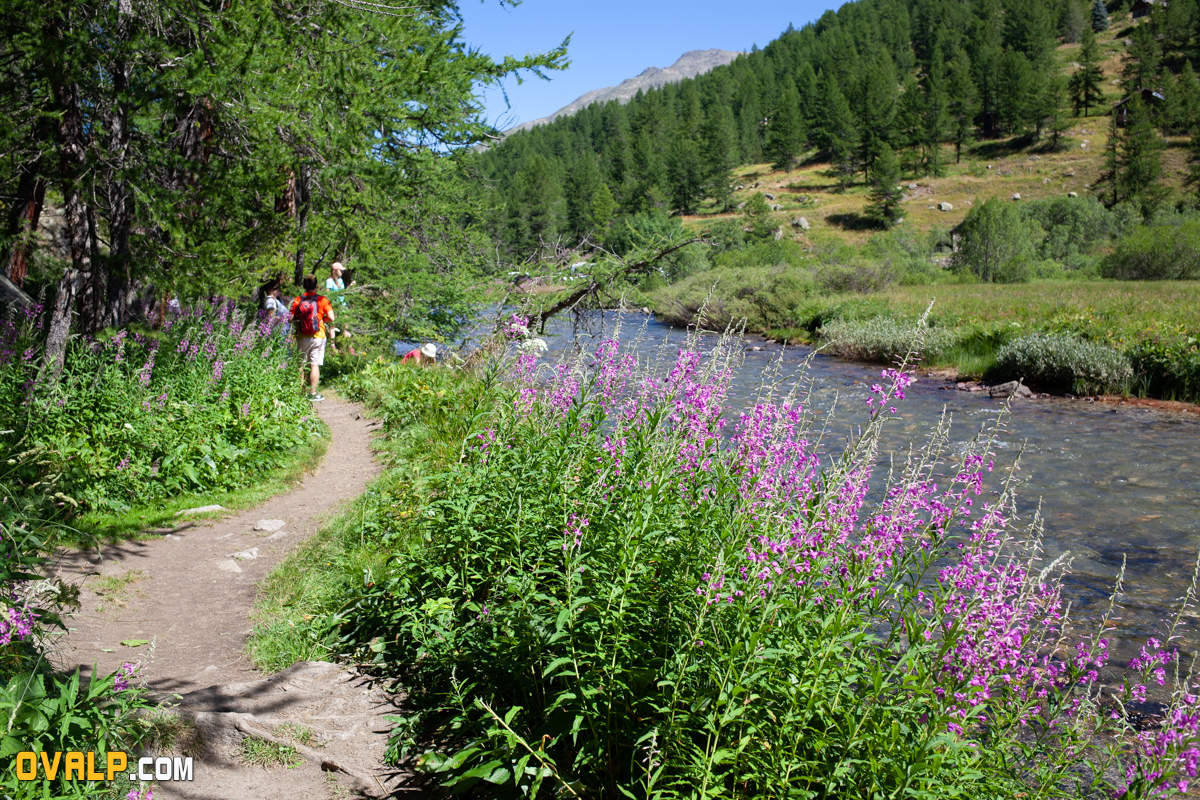 Rando Claree Nevache 6