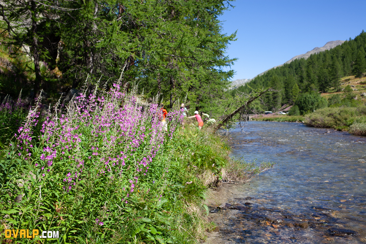 Rando Claree Nevache 7