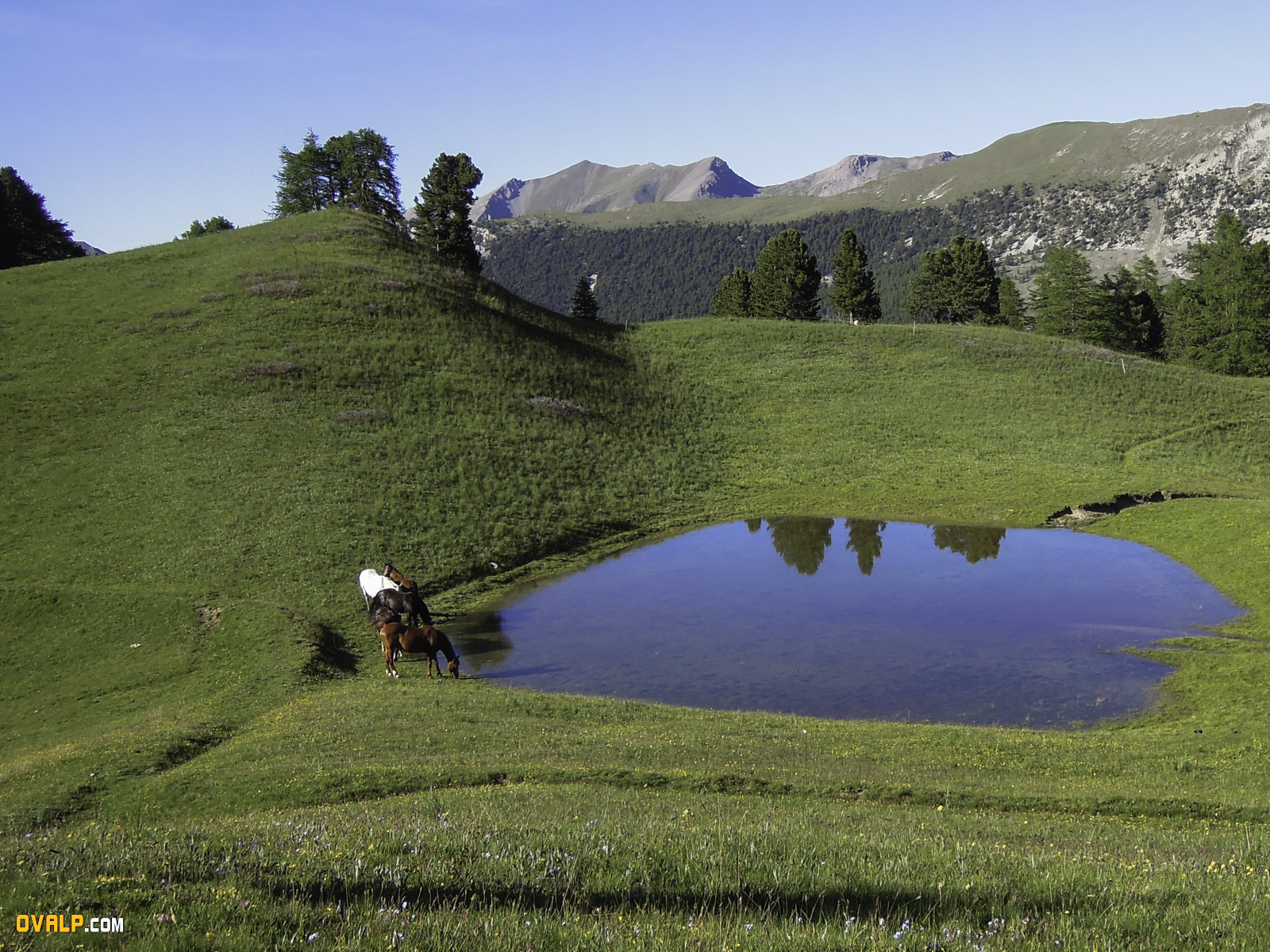 Lac Miroir 7