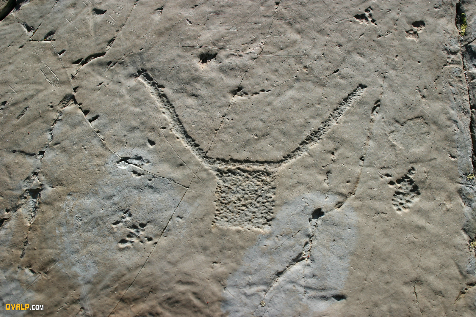 Gravure Rupestre Vallee Merveille 4