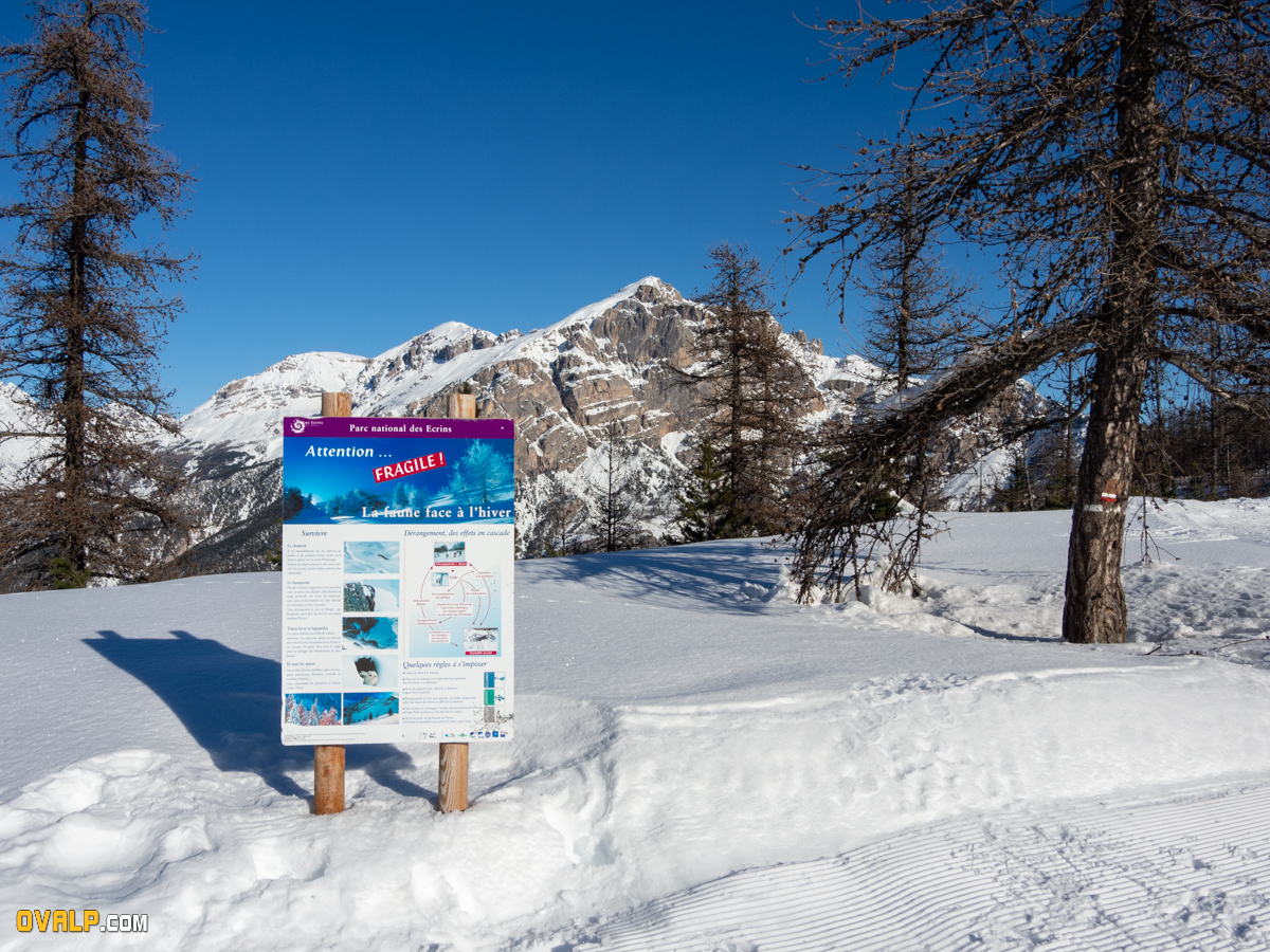 Rand Ski Oreac 3