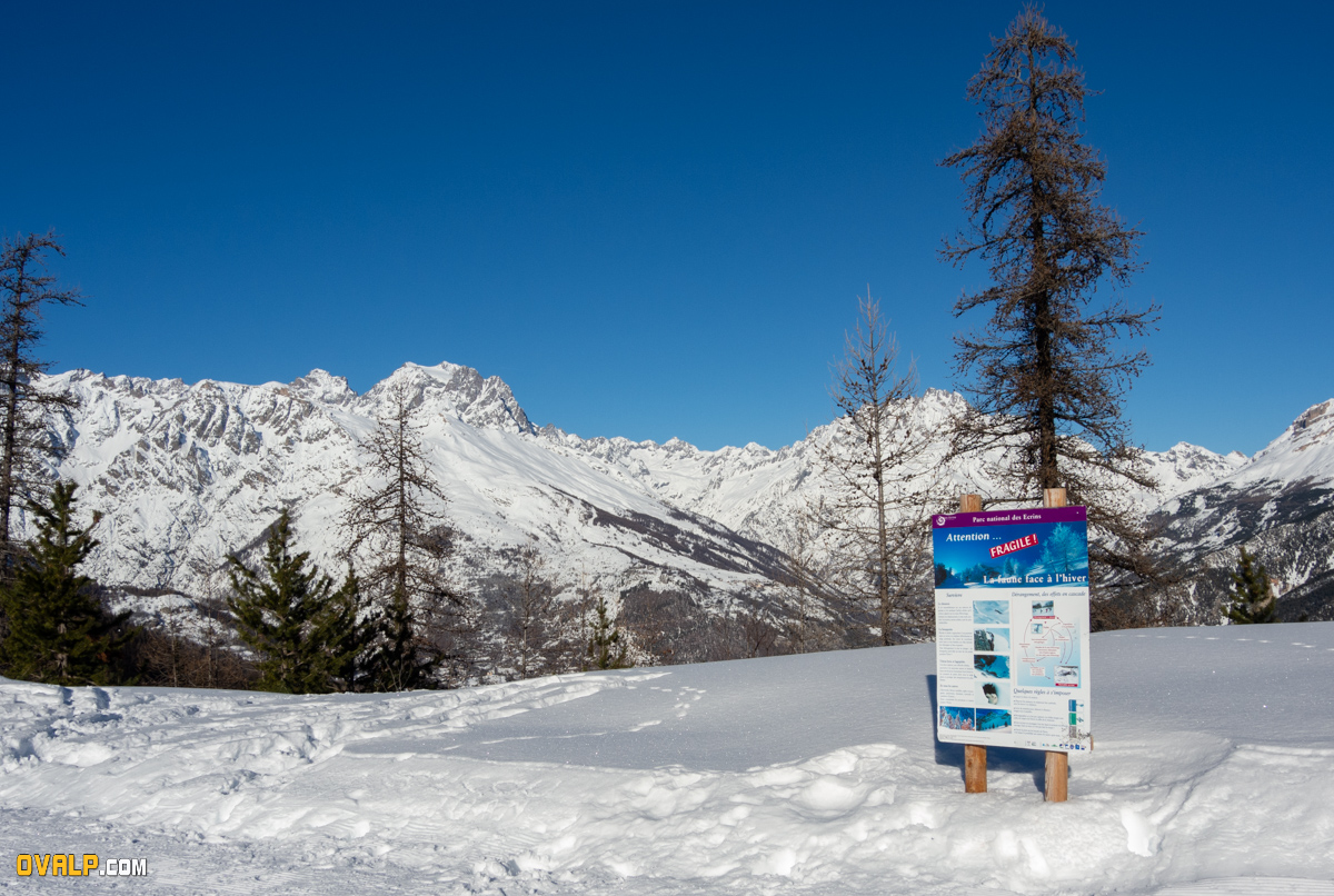 Rand Ski Oreac 4