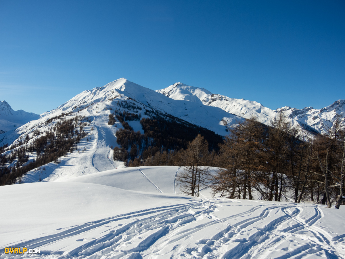 Rand Ski Oreac 8