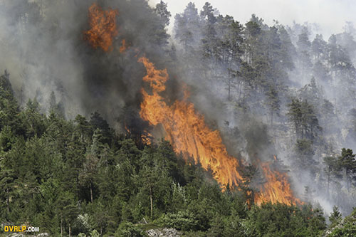 Feu de Forêt en montagne